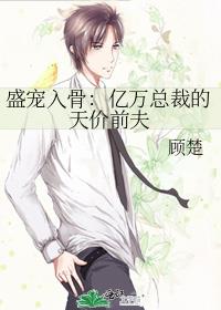 盛宠入骨:亿万总裁的天价前夫