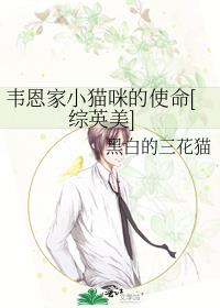 Τ����Сè���ʹ��[��Ӣ��]