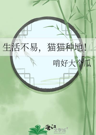 生活不易,猫猫种地!