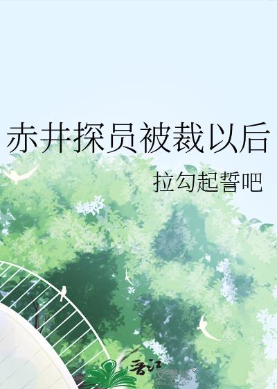 赤井探员被裁以后