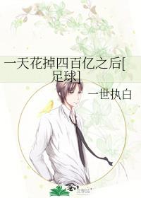 һ�컨���İ���֮��[����]