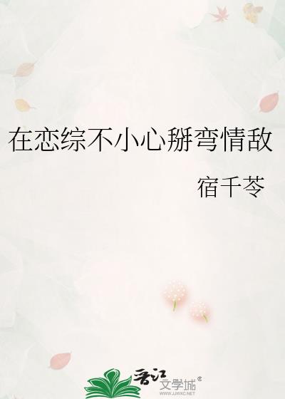 �����۲�С���������